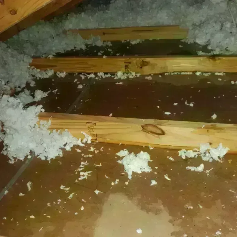 Attic Water Damage in Thorsby, AL